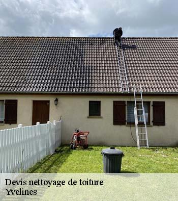 Devis nettoyage de toiture